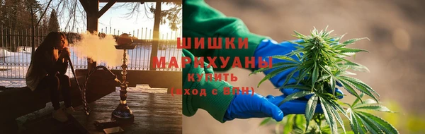 твердый Козельск