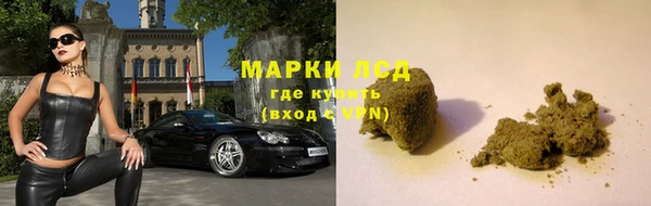 дживик Корсаков
