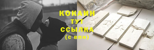 прущие грибы Калининец