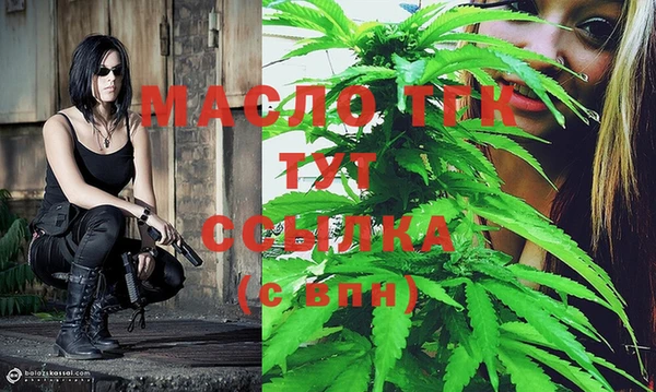 гашик Коряжма