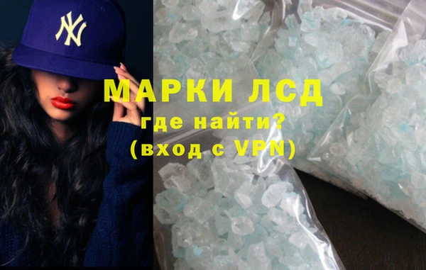 гашик Коряжма