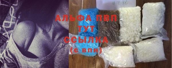 прущие грибы Калининец